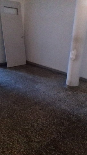 Local Comercial en Alquiler en Salto, Salto