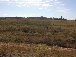 Campo / Chacra en Venta en Tacuarembó, Tacuarembó