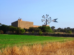 Campo / Chacra en Venta en Mercedes, Soriano