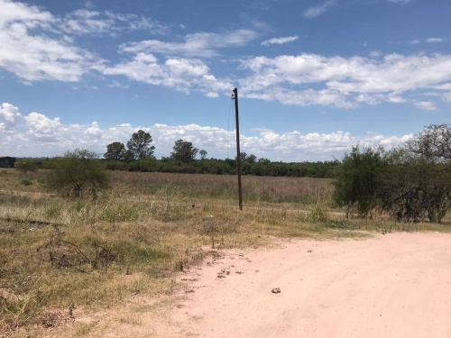 Campos y Chacras en Alquiler en Los Arrayanes, Soriano