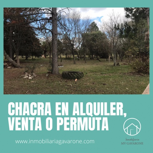 Campo / Chacra en Venta en Colonia Díaz, Mercedes, Soriano