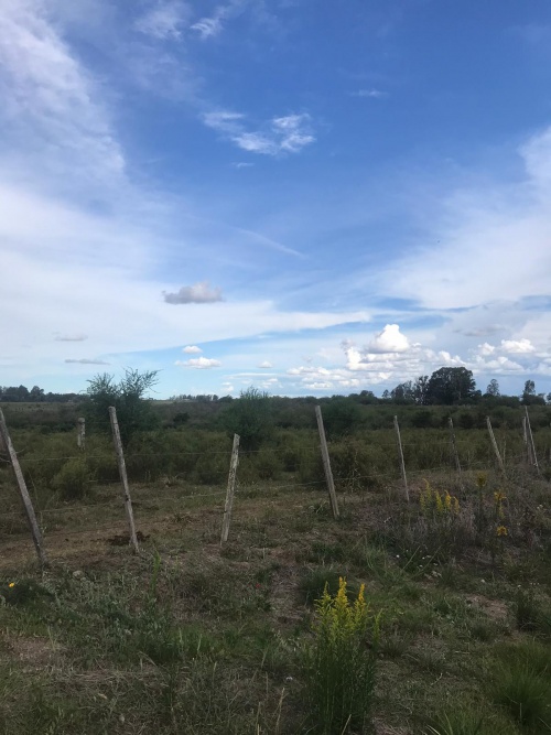 Campos y Chacras en Venta en Los Arrayanes, Soriano