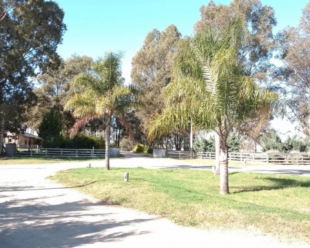 Terrenos en Venta en Mercedes, Soriano