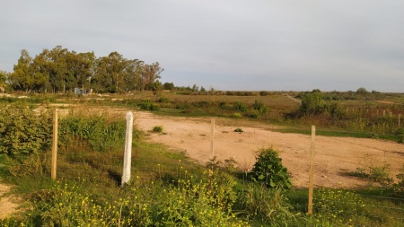 Terrenos en Venta en Mercedes, Soriano