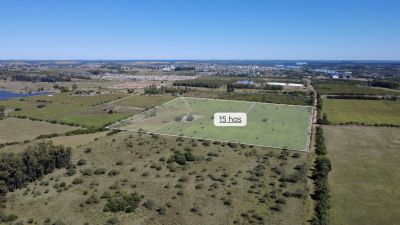 Chacra en Venta en Mercedes, Soriano