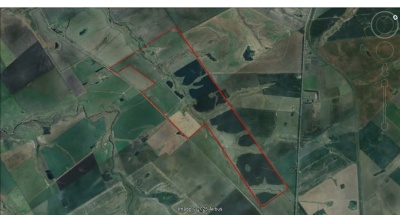 Campo / Chacra en Venta en Cardona, Colonia