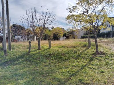 Terreno en Venta en Balneario Fomento, Colonia