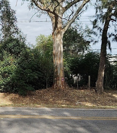 Terreno en Venta en Balneario Fomento, Colonia