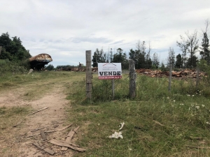 Terreno en Venta en Todas las Zonas, Salto, Salto