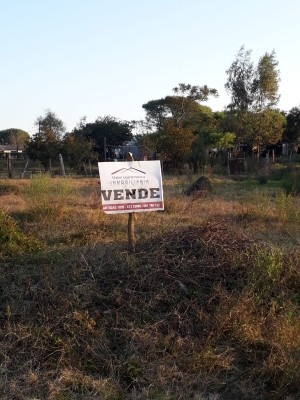 Terrenos en Venta en Todas las Zonas, Constitución, Salto