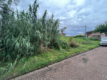 Terrenos en Venta en PUERTO, Salto, Salto