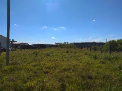 Terrenos en Venta en VILLA MAGUEY, Salto, Salto