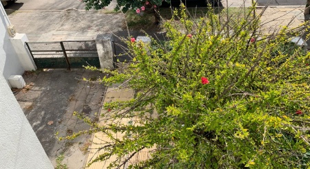 Casa en Venta en Punta Carretas, Montevideo