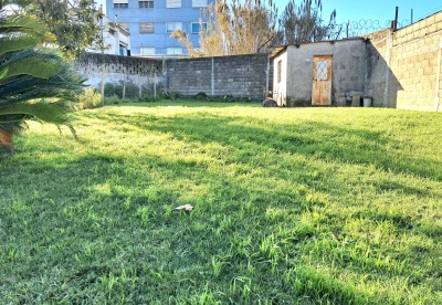 Casas en Venta en Buceo, Montevideo