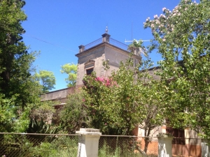 Campo / Chacra en Venta en Mercedes, Soriano
