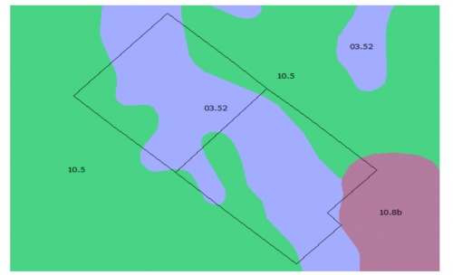 Campo / Chacra en Venta en Nueva Palmira, Colonia