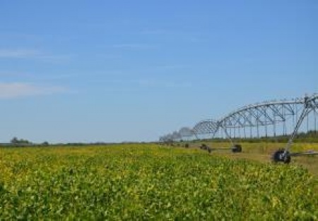 Campos en Venta en Fray Bentos, Río Negro