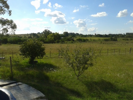 Campo / Chacra en Venta en CAMINO DE LOS ARGENTINOS, Mercedes, Soriano