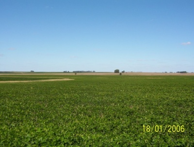 Campo en Venta en CERRO ALEGRE, Mercedes, Soriano