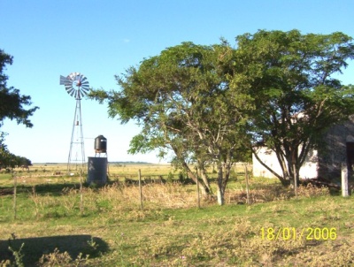 Campo en Venta en CERRO ALEGRE, Mercedes, Soriano