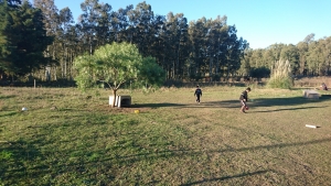 Campo / Chacra en Venta en Paraje Pense, Soriano