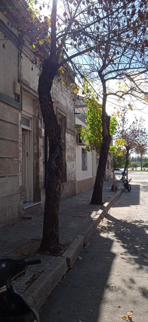 Casa en Venta en Mercedes, Soriano