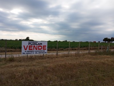 Chacra en Venta en Mercedes, Soriano
