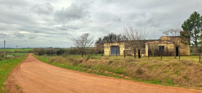 Campo en Venta en Colonia Díaz, Mercedes, Soriano