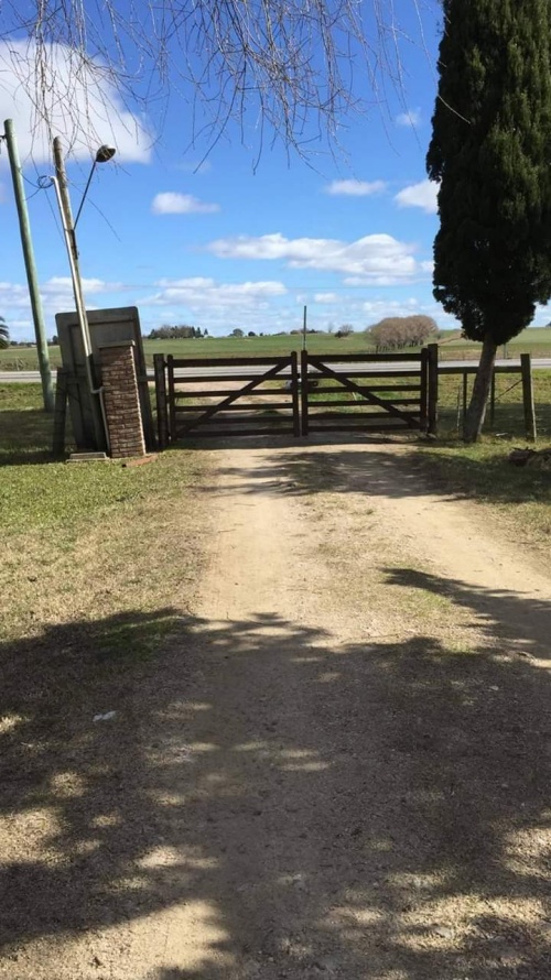 Campo / Chacra en Alquiler en Sarandí Grande, Florida