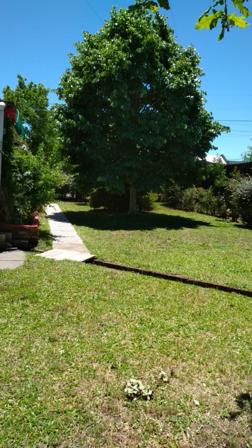 Apartamentos en Alquiler en Durazno , Durazno