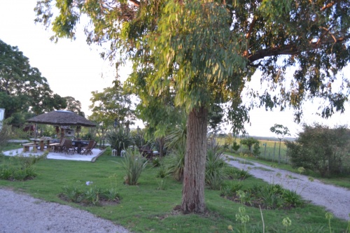Campos y Chacras en Venta en Durazno , Durazno
