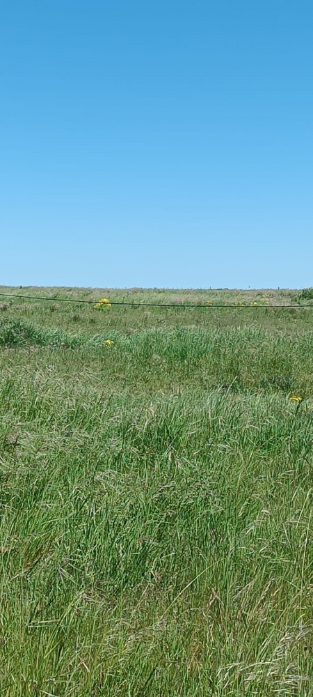 Campos y Chacras en Venta en Durazno , Durazno