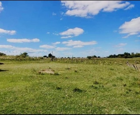 Campo / Chacra en Venta en Durazno , Durazno