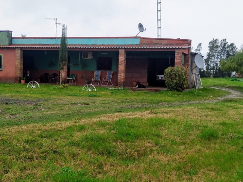 Campo / Chacra en en Barrio Albisu, Salto, Salto