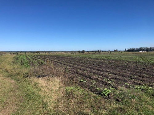 Campos y Chacras en Venta en corralito, Salto