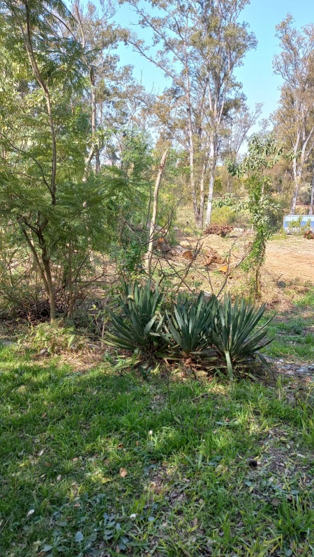 Terrenos en Venta en Arenitas Blancas, Salto