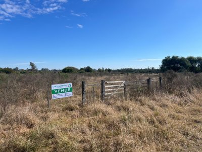 Terrenos en Venta en Salto, Salto
