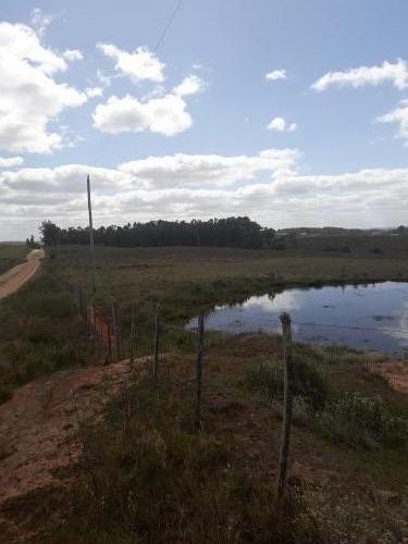 Campo / Chacra en Venta en Melo, Cerro Largo