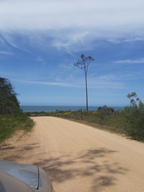 Terreno en Venta en Maldonado, Maldonado