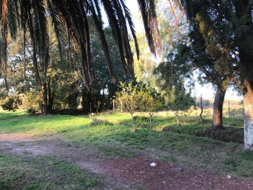 Campos y Chacras en Venta en Mercedes, Soriano