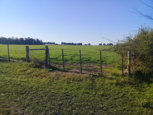 Campo / Chacra en Venta en Zona Parque Civeli, Paysandú, Paysandú