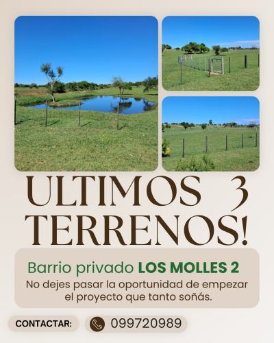 Otras propiedades / Inversión en Venta en Molino Quemado San Francisco, Paysandú