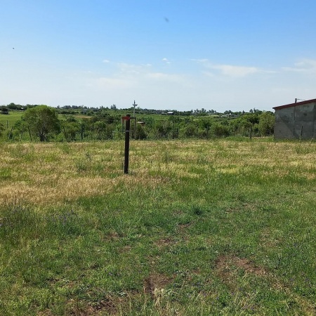 Terrenos en Venta en Paysandú