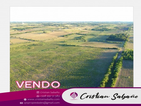 Campos y Chacras en Venta en Paysandu, Paysandú, Paysandú