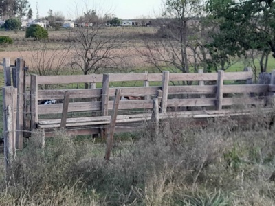 Campo en Venta en Paysandú, Paysandú