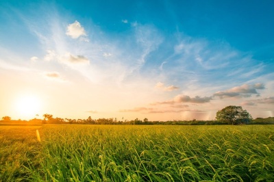 Campo en Venta en Paysandú, Paysandú