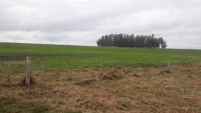 Campo en Venta en Paraje Soca, Río Negro