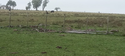 Campo en Venta en Tacuarembó, Tacuarembó