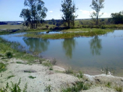 Chacra en Venta en Guichón, Paysandú