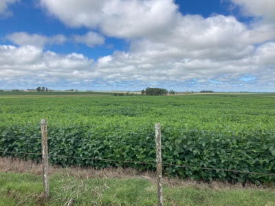 Campo en Venta en Paysandú, Paysandú